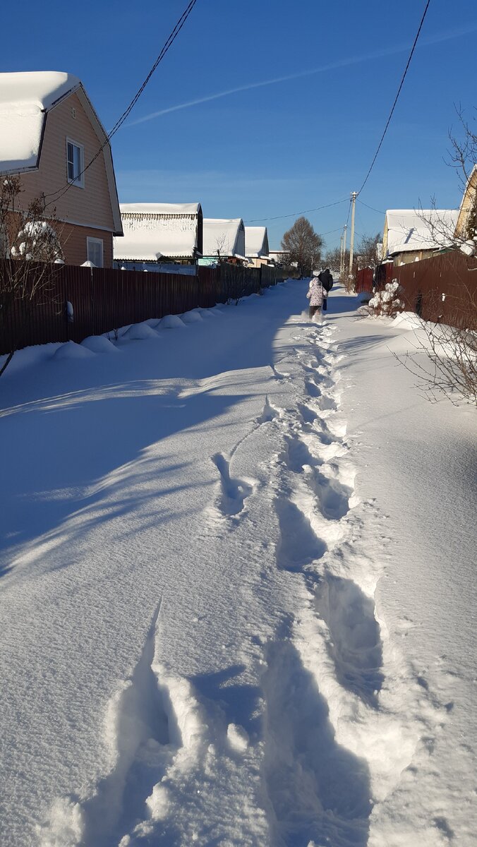 17.01.2021..мороз и солнце день чудесный?..всего -20..небольшая фотосессия?..и едем на дачу?....