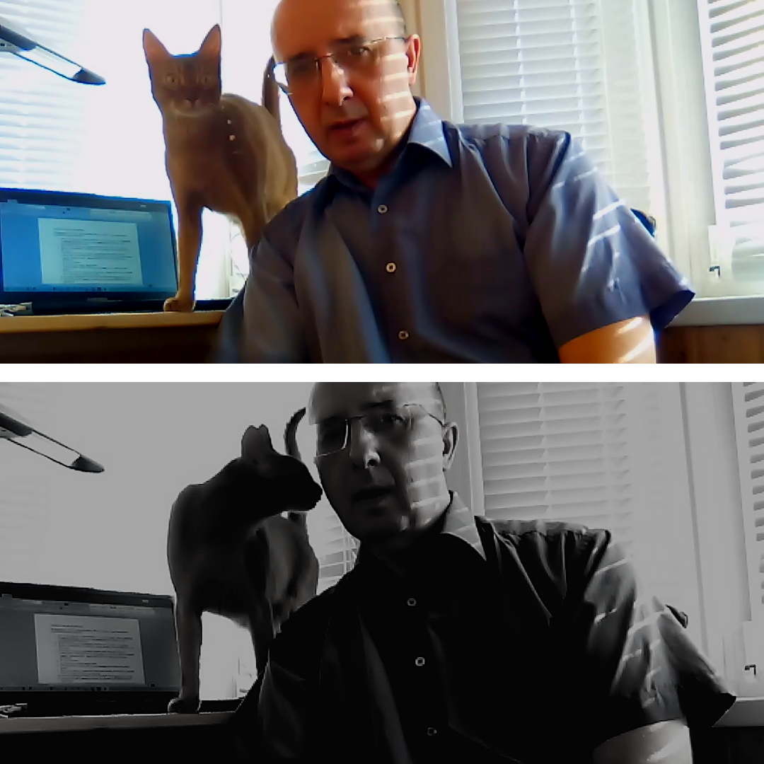 Удалёнщики PRO: Orr Cc и Кис