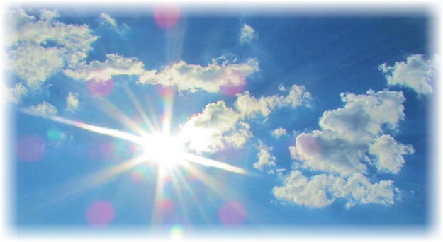 Бессемянные арбузы – особая теплолюбивая культура, требующая индивидуальных условий выращивания.