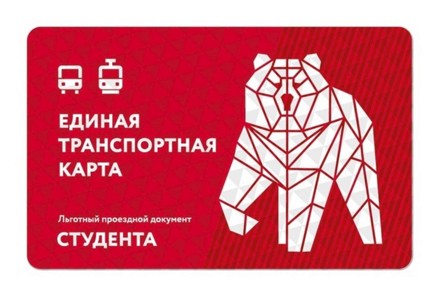 Школьная карта проездной