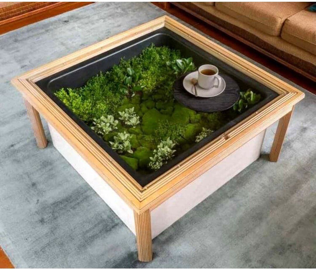 Растения находятся непосредственно под столешницей, которая поднимается, чтобы можно было их выращивать и поливать