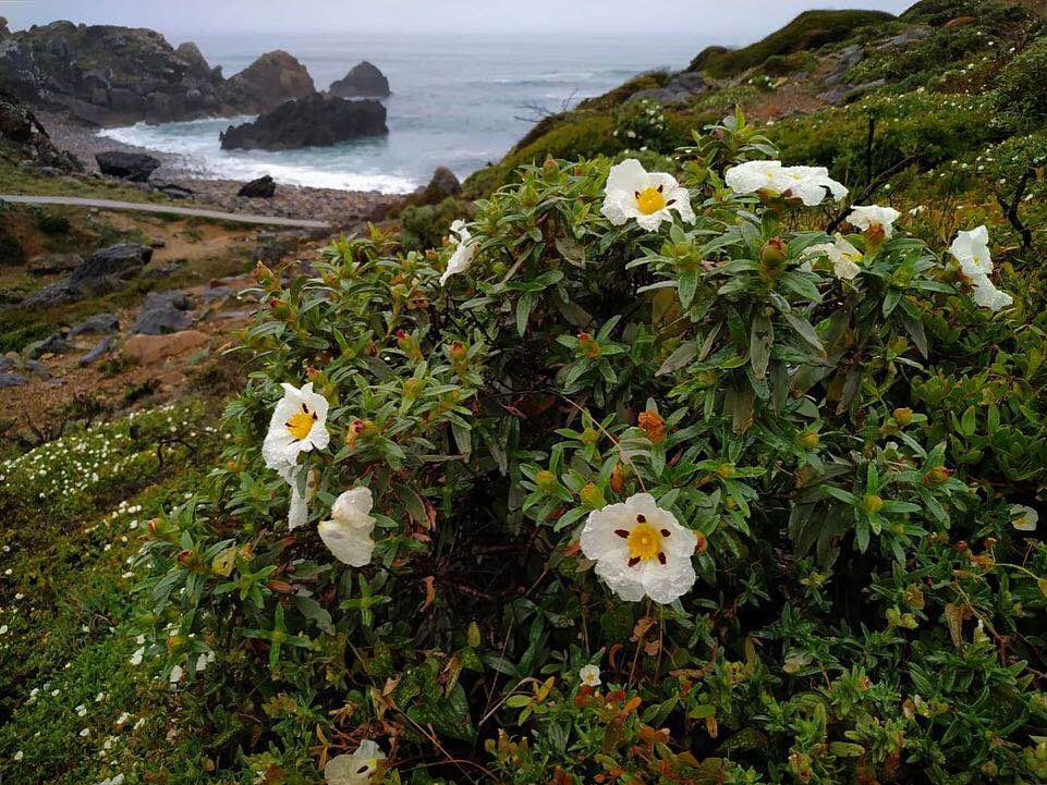 Ползёт повыше, к солнышку