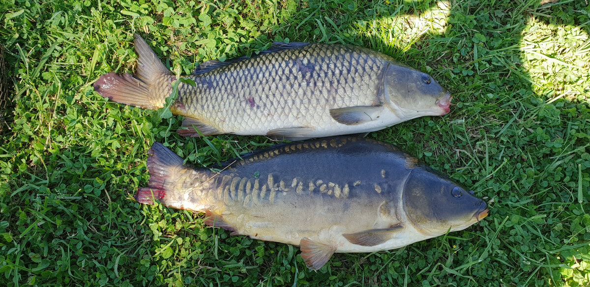 Уловимый улов