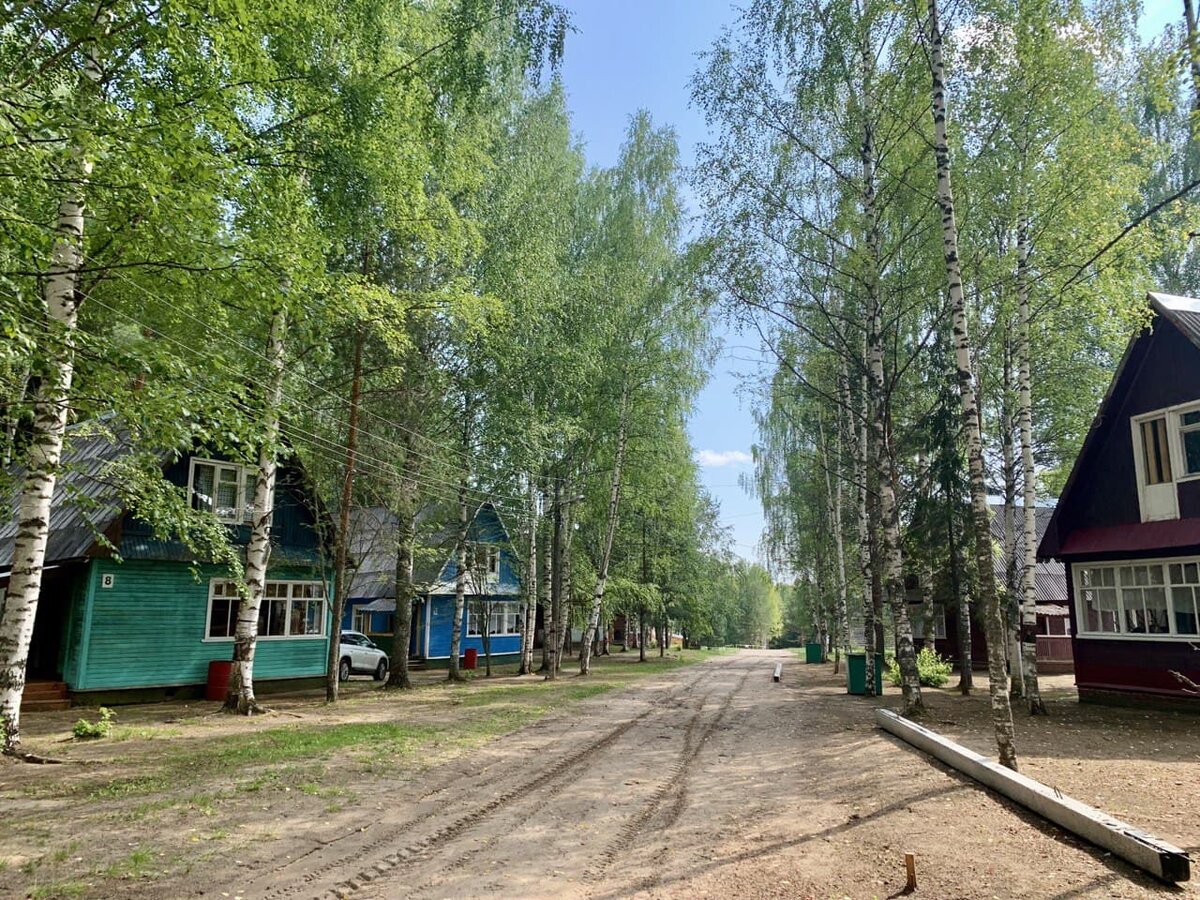 Как доехать на Жуковлянские валуны. Маршрут выходного дня на машине | Мир  открытий. Путешествия | Дзен