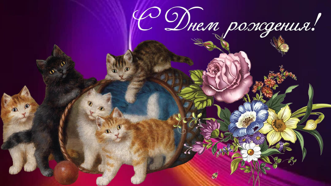 Смешные милые котята и букет цветов в красивой открытке с Днём рождения в стиле ретро порадуют любую женщину маму бабушку сестру подругу 