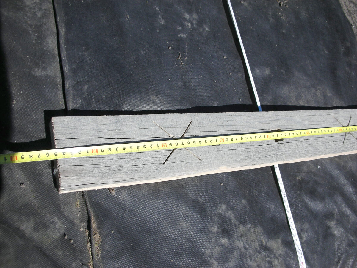 Фото автора статьи