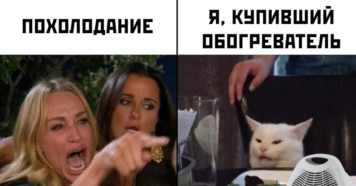 Две женщины орут на кота. Женщина орет на кота. Две девки и кот Мем. Мемы с двумя девушками и котом. Мемы баба кричит на кота.