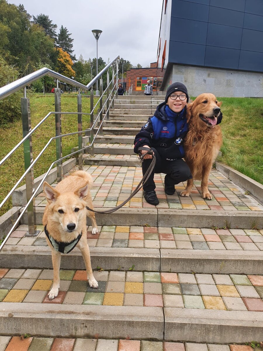 Лулу и Викки