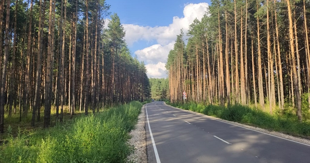 Угадайте это Россия или Беларусь? Фото автора.