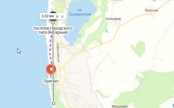 Променад Янтарного / скриншот Яндекс карты