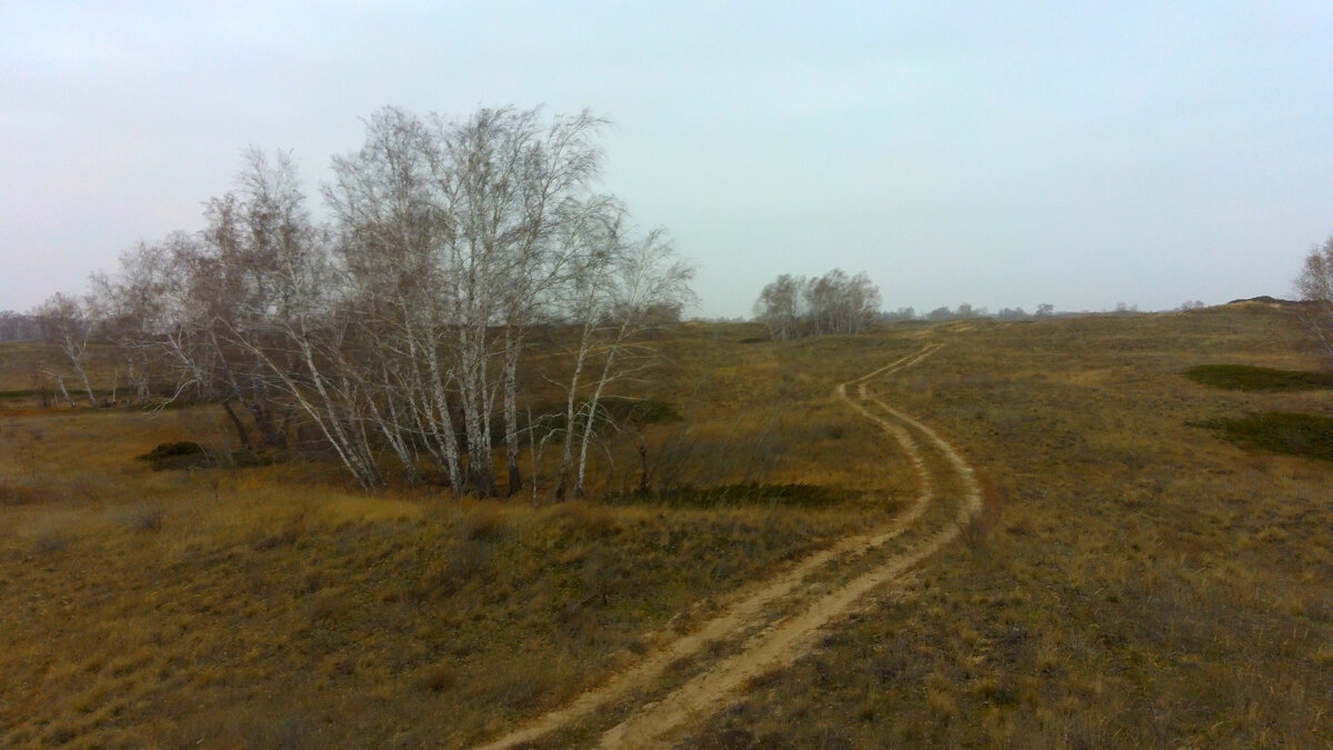 Дорога к Арчединским пескам