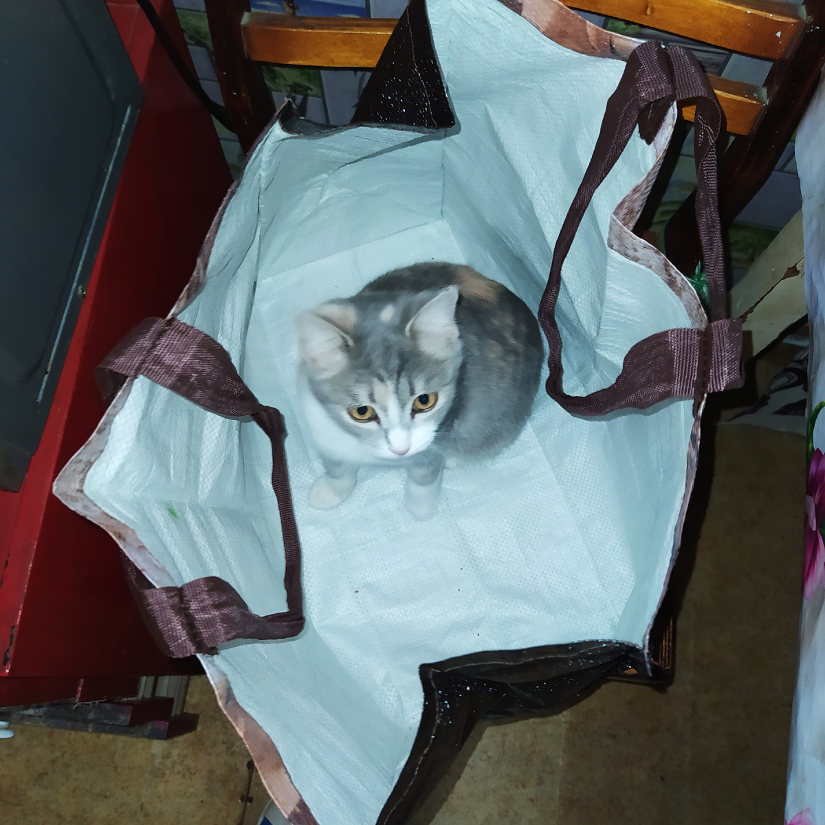 Маруся тоже мне помогает. Хоть и не искать работу, но сходить за покупками.