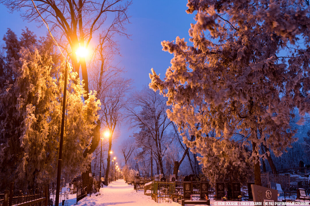 Снимал первого января... Новый год – отличный способ вспомнить о бренности бытия