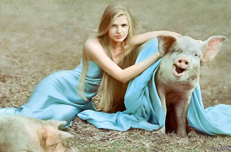 Люди-свиньи-люди-свиньи, когда одно переходит в другое?