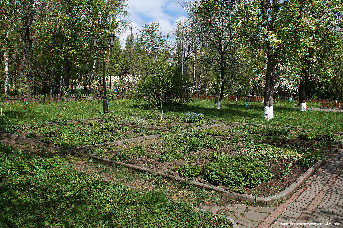 Город на память». 251. Большая Черкизовская улица и «Локомотив» | Город на  память | Дзен