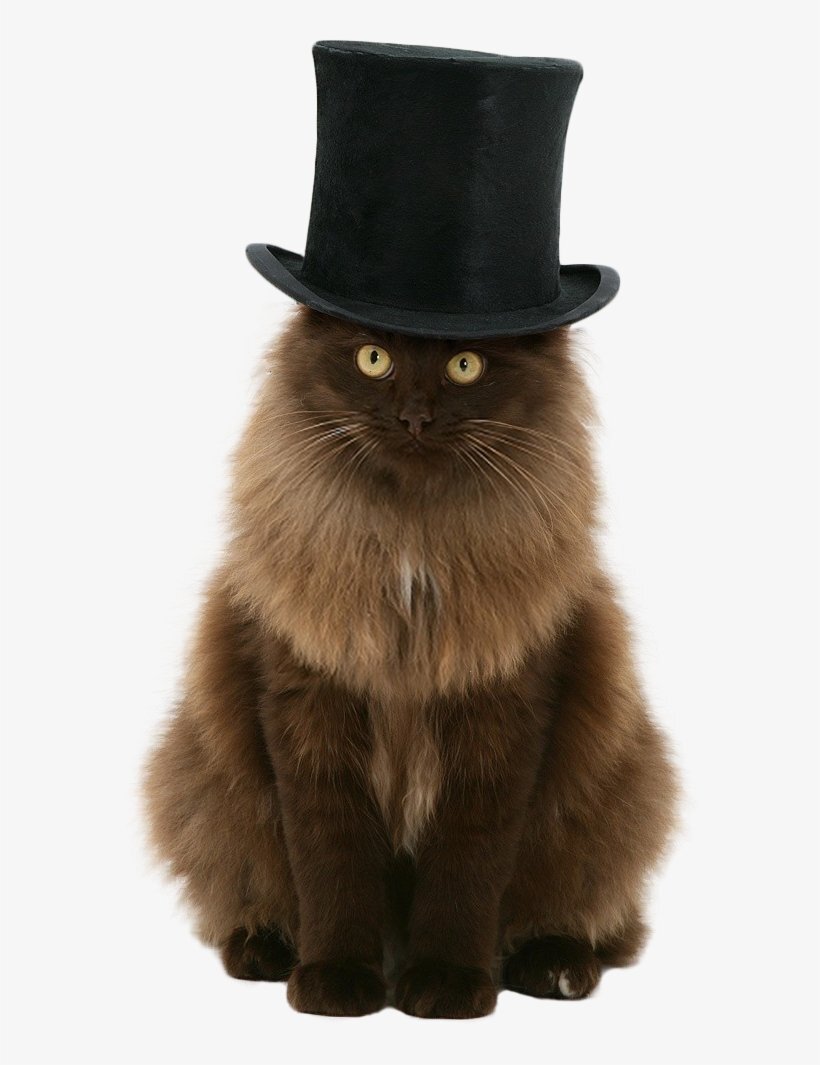 Котище соседей был посветлее))