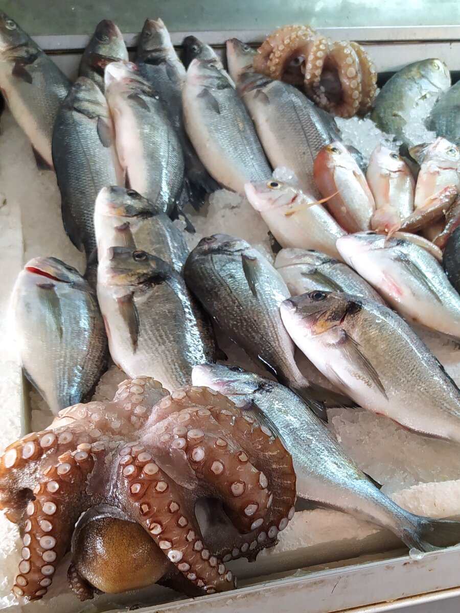 Фото из личного архива автора.