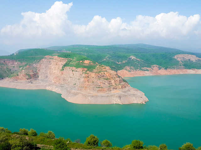 Лазурный Червак