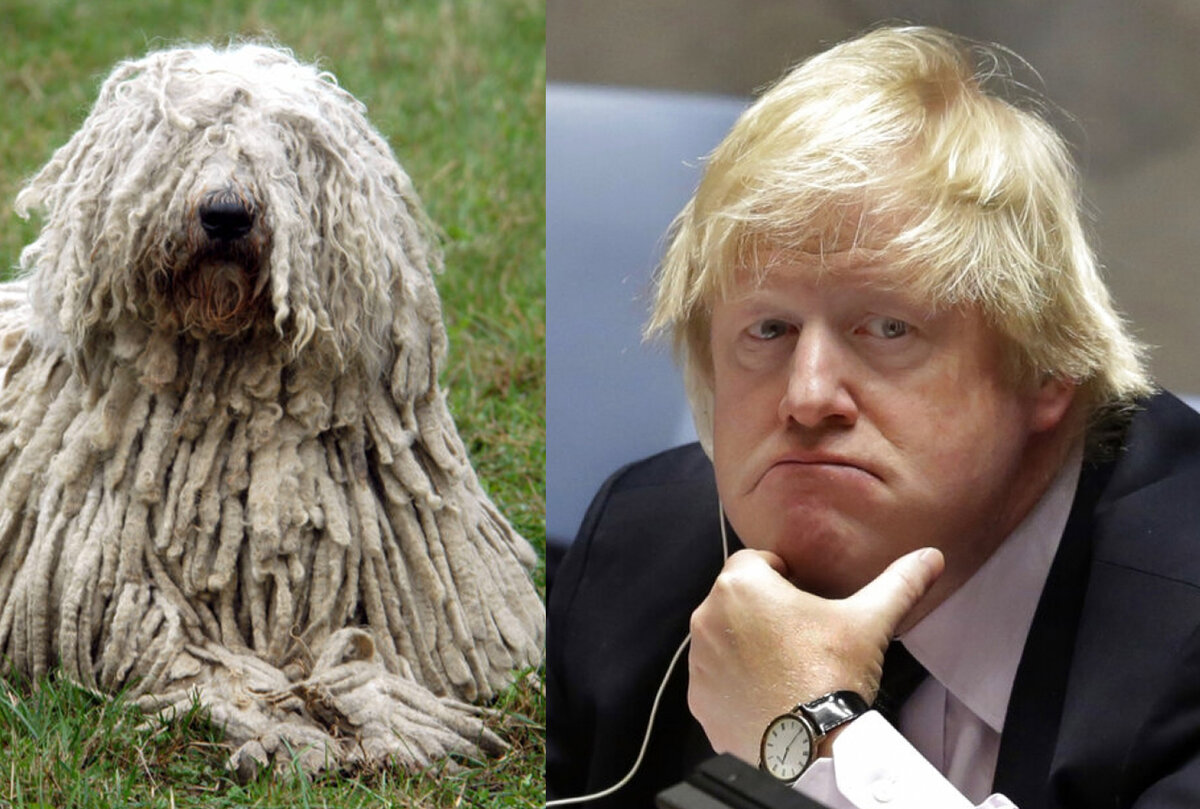 Что-то общее у них, безусловно, есть...