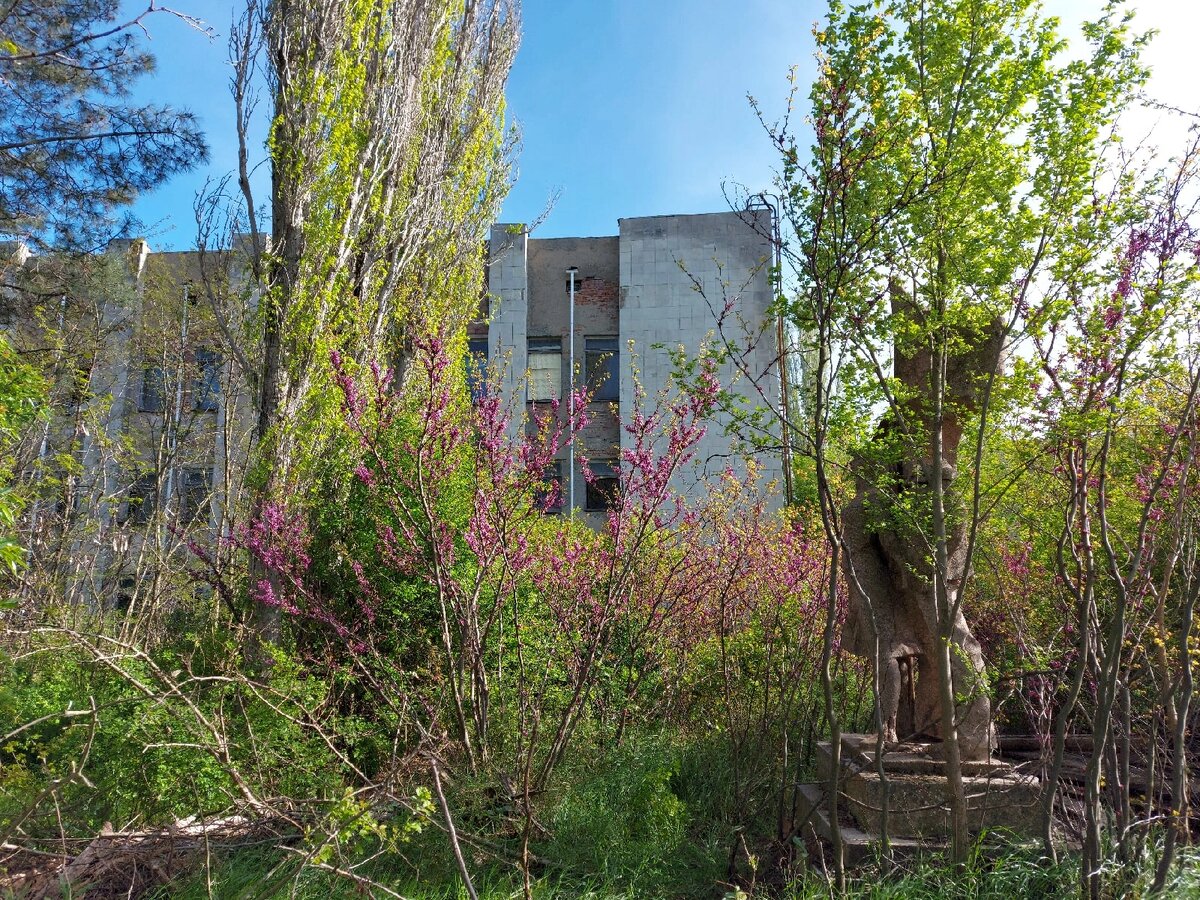 Тленный завод, скульптура "Комсомольцы", тополя и иудино дерево.