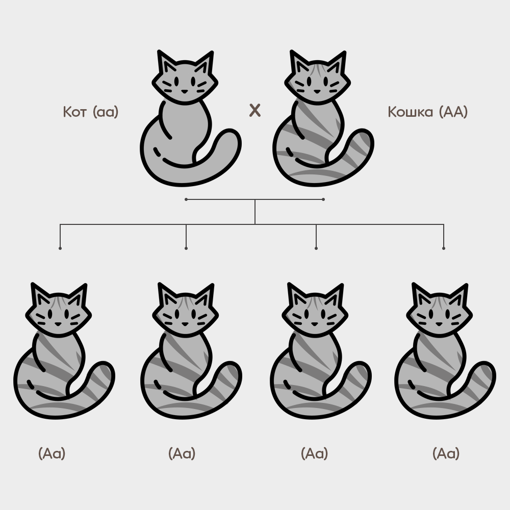 Раскраски Коты и кошки распечатать или скачать бесплатно в формате PDF