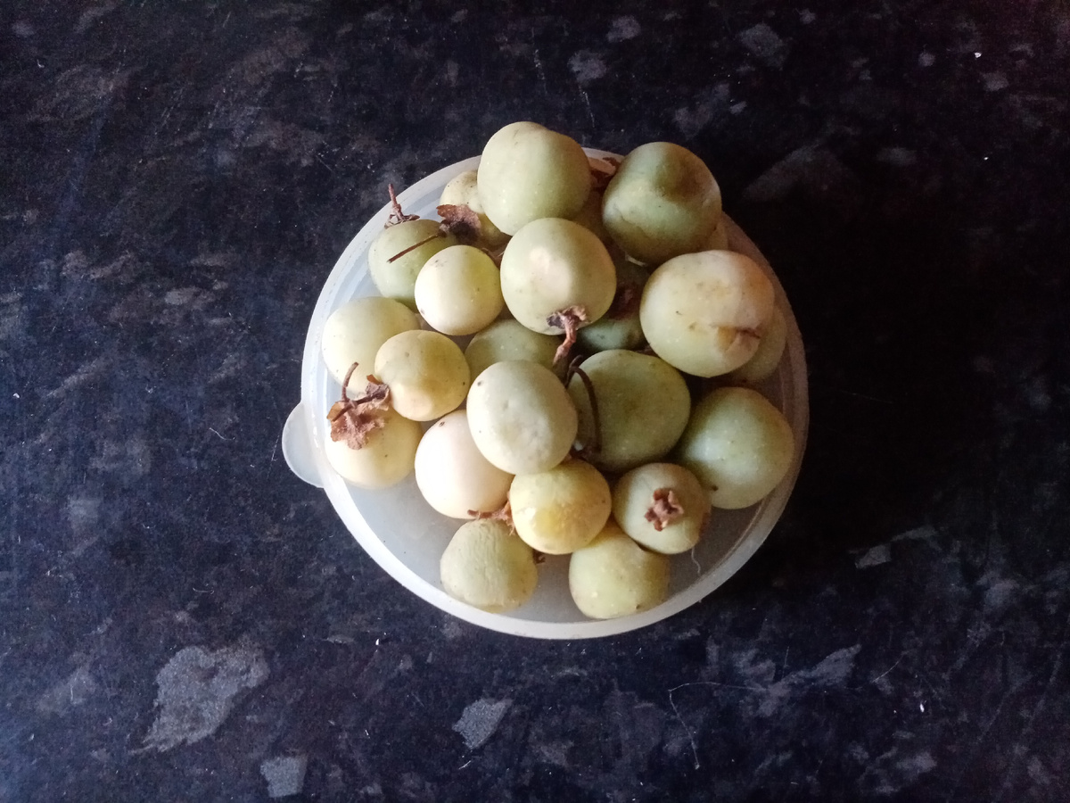 Плоды картофеля