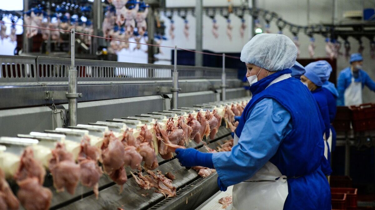    Сотрудницы в разделочном цехе на птицефабрике "Октябрьская" в Новосибирской области© РИА Новости / Александр Кряжев