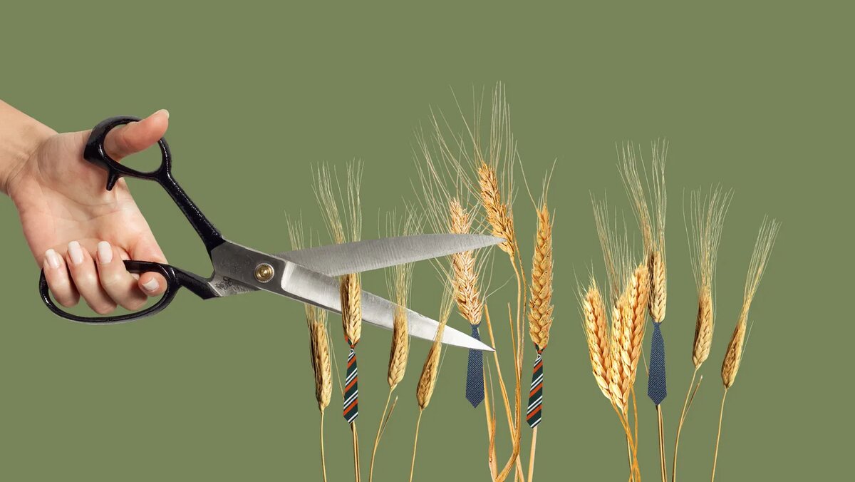 Иллюстрация: Вера Ревина/Клерк.ру