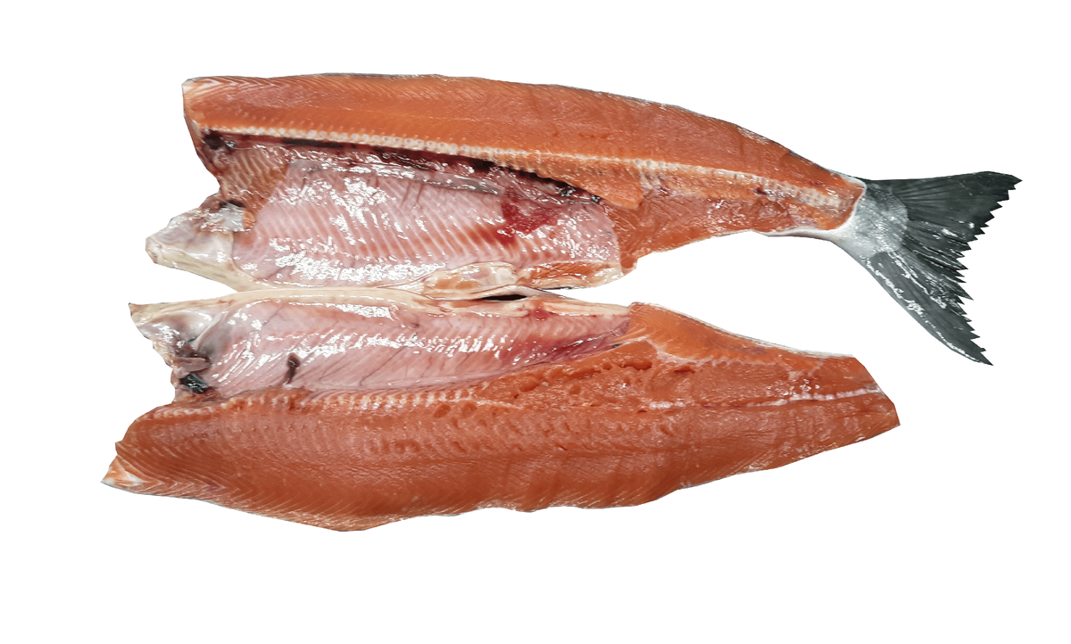 Кижуч ПБГ (ОАО "Тигильское промысловое хозяйство") Frozen Silver salmon H/G, Oncorhynchus kisutch