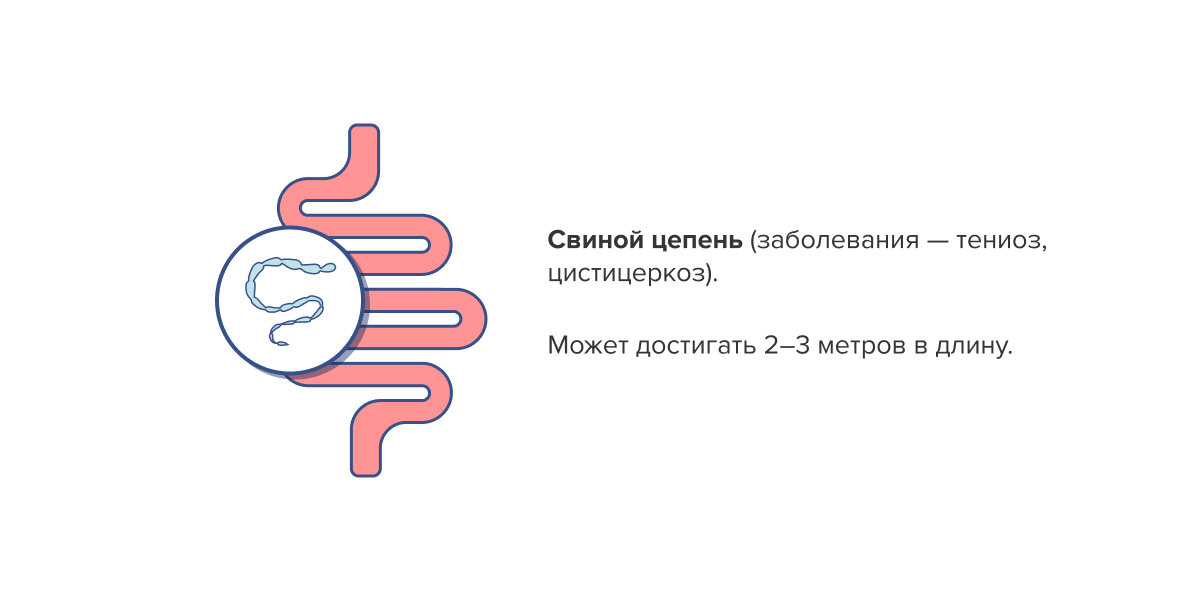 Девушка любит глотать член по самые яйца