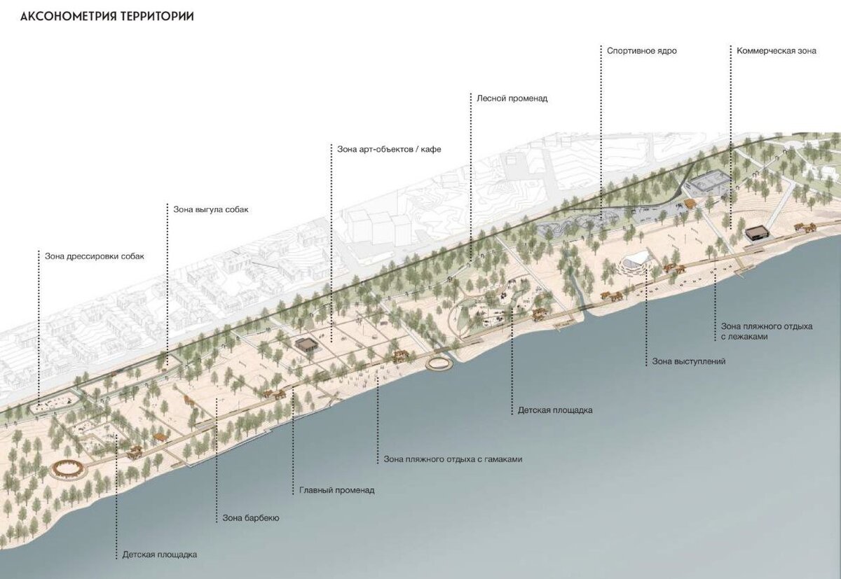 Фото: пресс-служба мэрии Воронежа