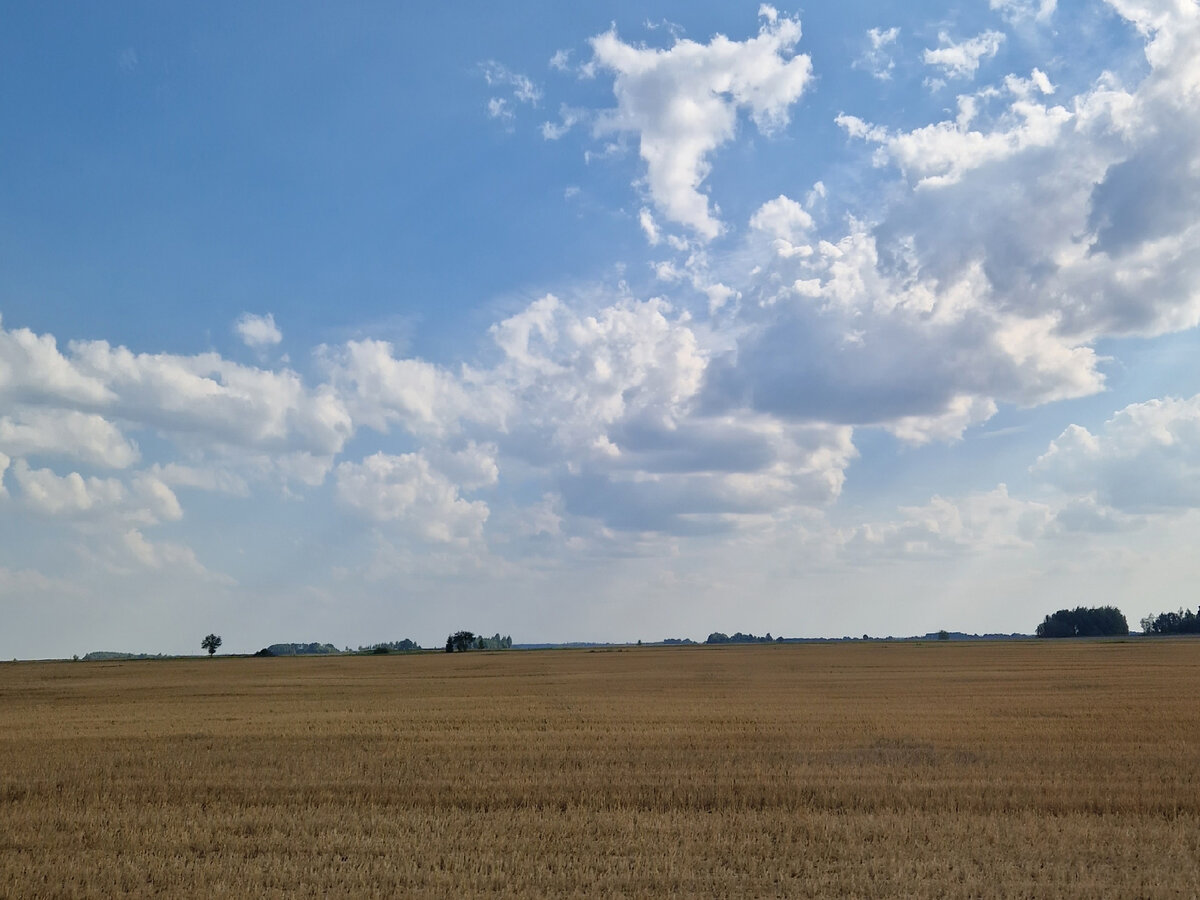 Где-то в Литве