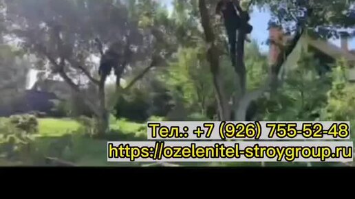 УСЛУГИ САДОВНИКОВ В МОСКВЕ И МО | УСЛУГИ ОБРЕЗКИ ПЛОДОВЫХ ДЕРЕВЬЕВ В ...