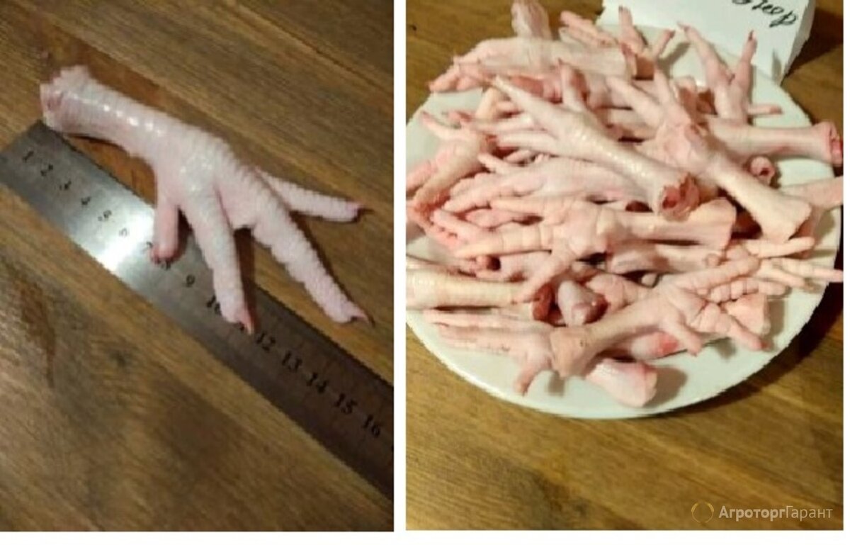 Самые свежие рецепты для Вас!