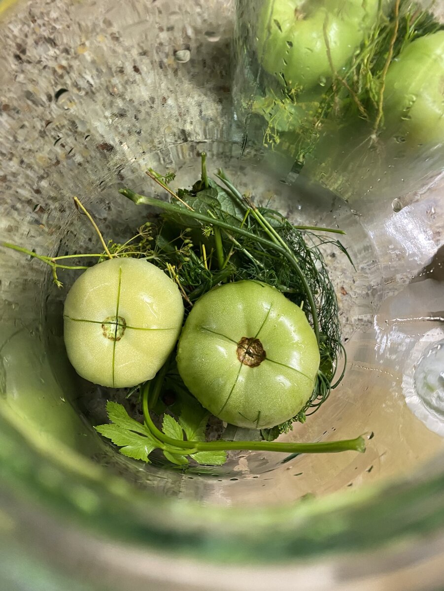 Помидоры надрезала для лучшей просолки