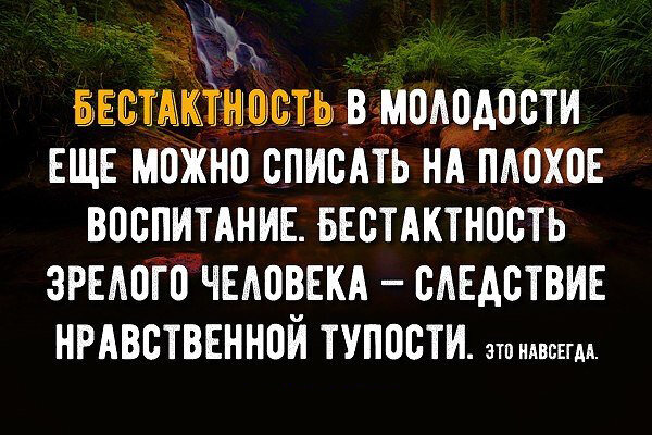 Изображение, взятое из сети Интернет с небесспорным, хотя и логичным высказыванием.  