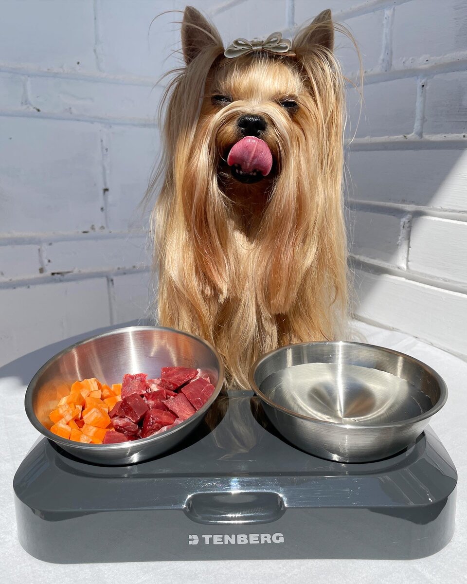 Фото автора . 