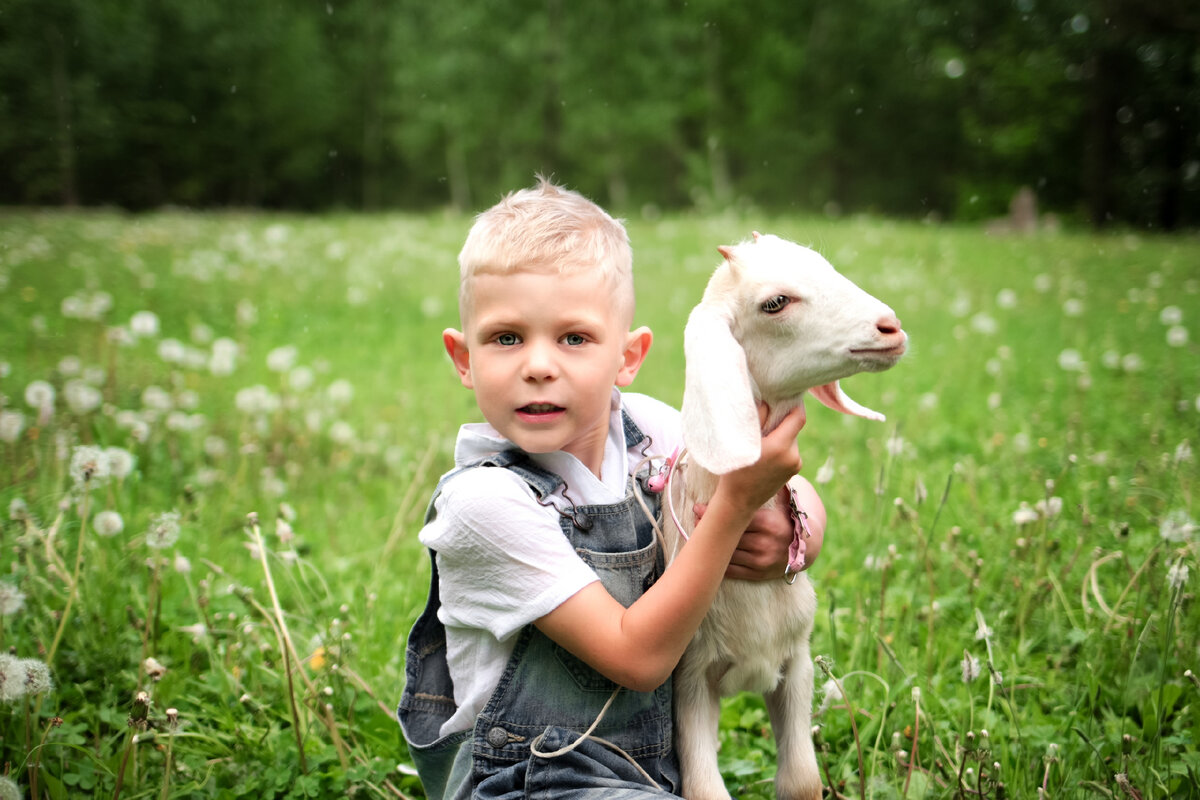 Наша Карамелька первая козочка в клубе Нубийской породы