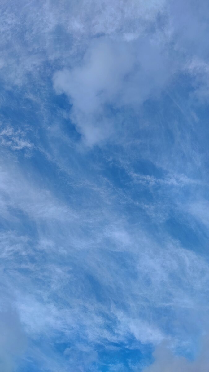 Небо над Фрунзенской