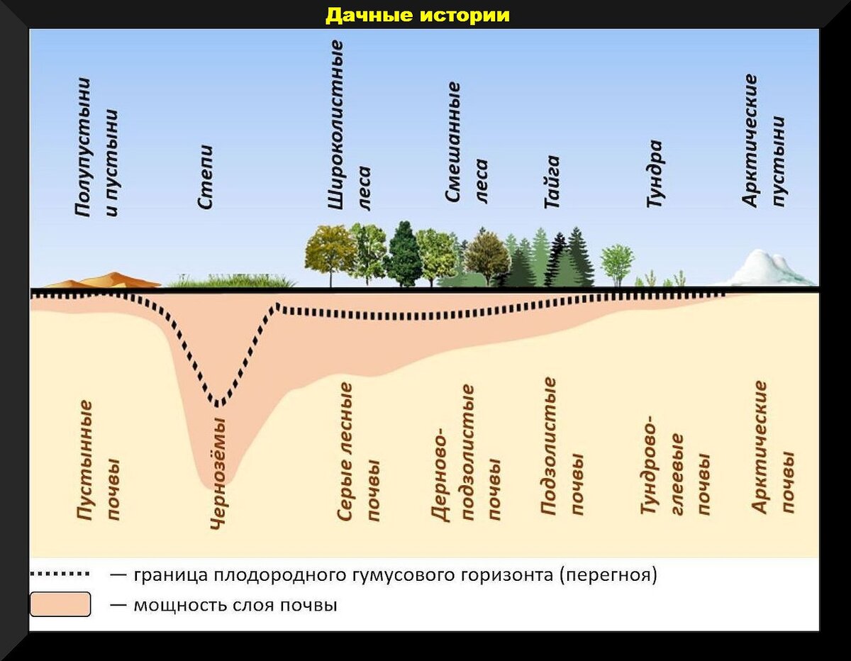 Наиболее плодородный. Плодородие почв на территории России. Почвы горных территорий. Самые плодородные почвы России. Распространение горных почв в России