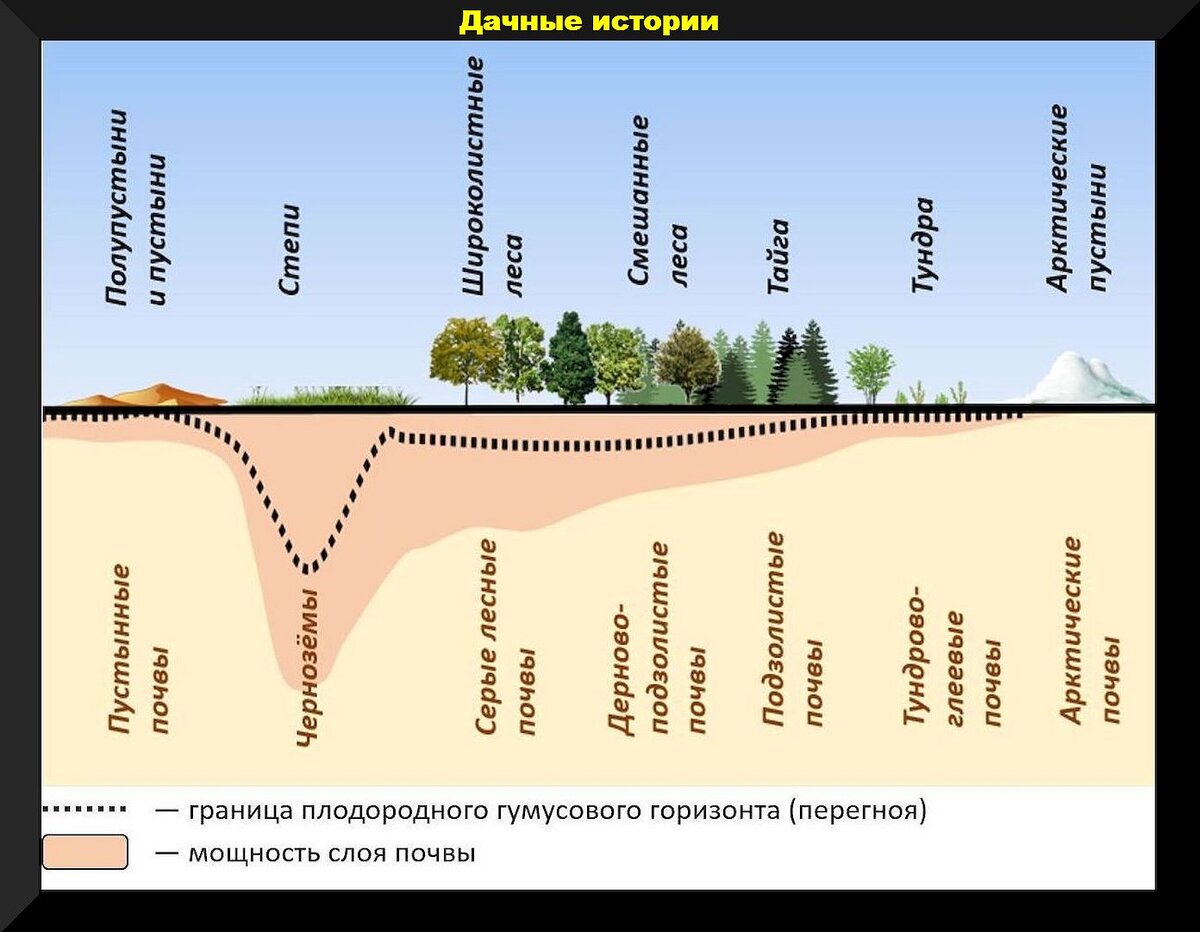 Как осенью повысить плодородие почвы и подготовить грядки для посадки  растений: важные правила внесения минеральных и органических удобрений |  Дачные истории | Дзен