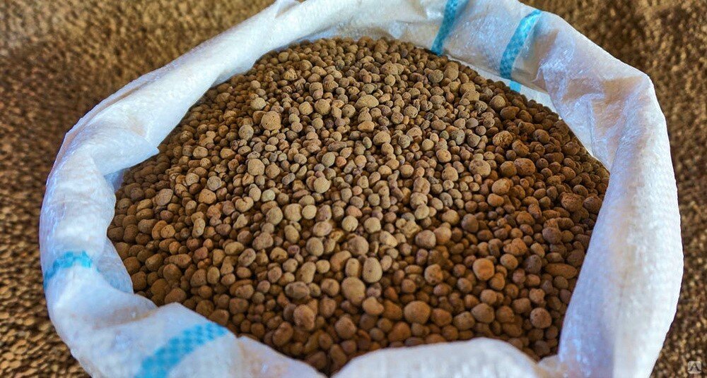 Фото: Свободный доступ