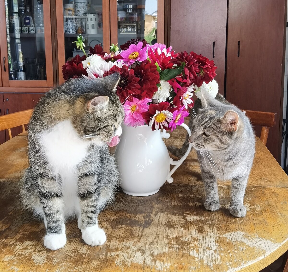 Фуфырик и Дуняша