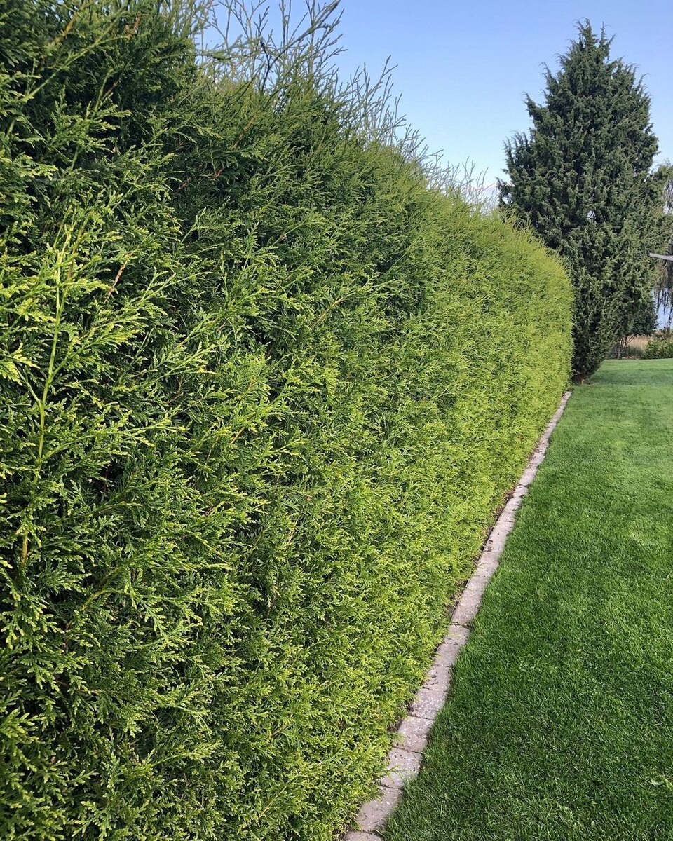    Соцсети блогера utasann