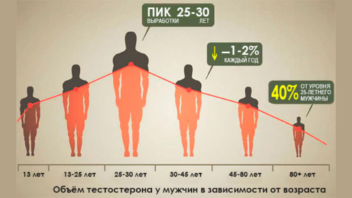 На людей будет расти в. Уровень тестостерона. Уровень тестостерона в зависимости от возраста. Люди разных возрастов