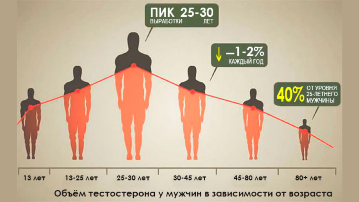 Уровень тестостерона. Уровень тестостерона в зависимости от возраста. Люди разных возрастов.