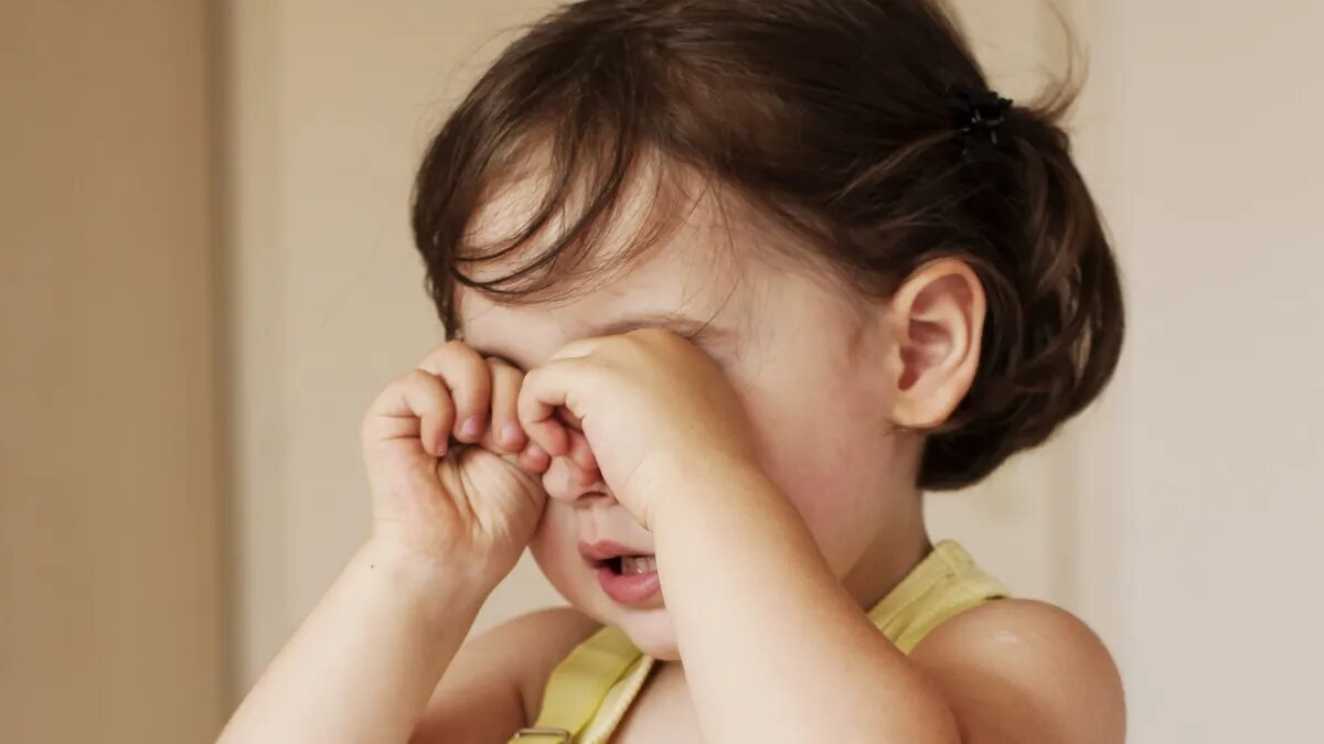 Фото: Pxfuel.com