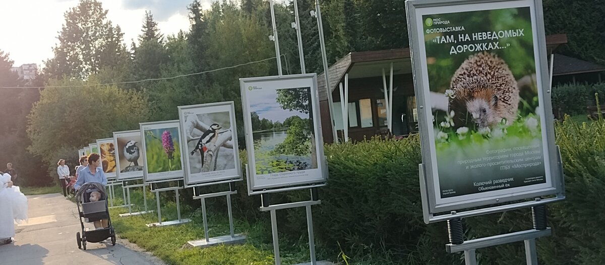 Фото Панариной Ольги. Фотовыставка "Там на неведомых дорожках..."