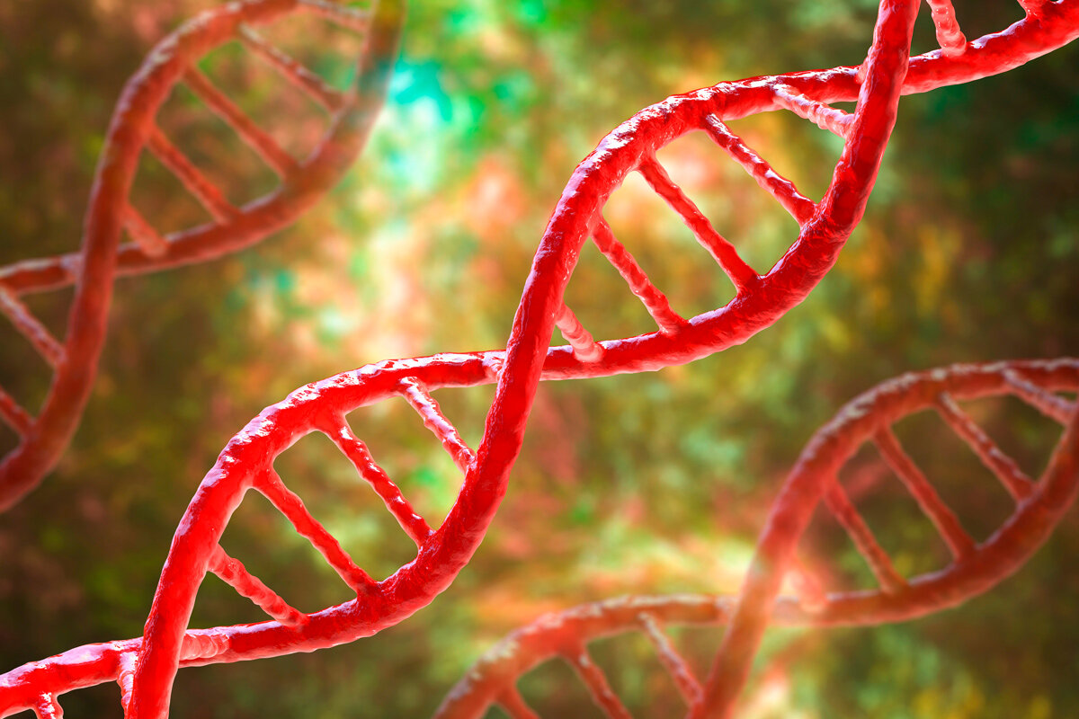    Фото: Kateryna Kon / Shutterstock.com