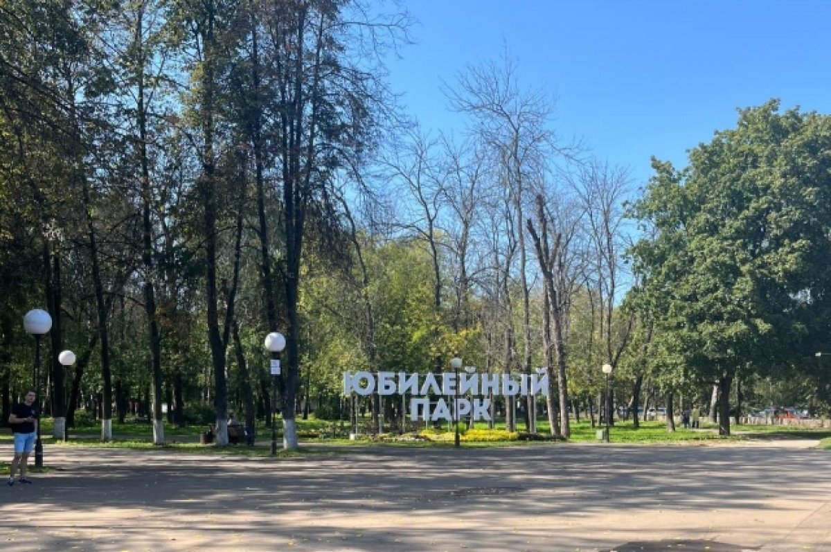    В Юбилейном парке в Ярославле началась массовая вырубка деревьев